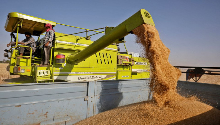 India stops wheat export – immediately